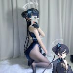 fliosofem / shibachipipa_6830c5f60224d.jpeg
