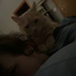 _kami0124_ / kami0124_682e6d1f9295a.jpeg
