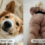 pinky_puff / pinky_puff__6830f3d473105.jpeg
